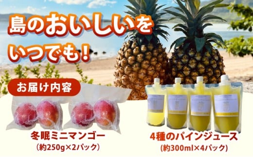 《8月以降順次発送》最高糖度20度！？冬眠ミニマンゴーと完熟パイン4種のジュース　よくばり詰め合わせ