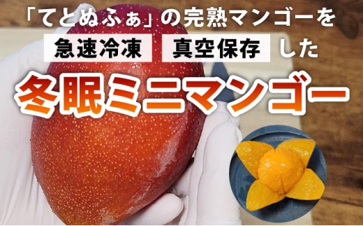 《8月以降順次発送》最高糖度20度！？冬眠ミニマンゴーと完熟パイン4種のジュース　よくばり詰め合わせ