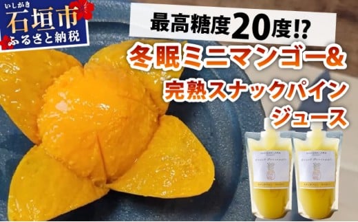 《8月以降順次発送》最高糖度20度！？冬眠ミニマンゴーと完熟スナックパインジュース