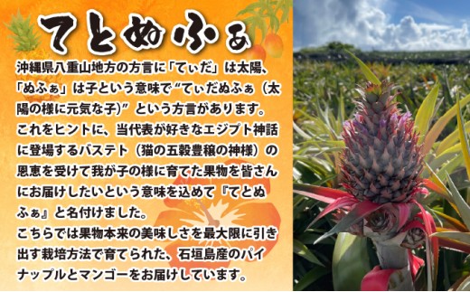 ã8æä»¥éé æ¬¡çºéãæé«ç³åºŠ20床ïŒïŒå¬ç ãããã³ãŽãŒãšå®çã¹ããã¯ãã€ã³ãžã¥ãŒã¹