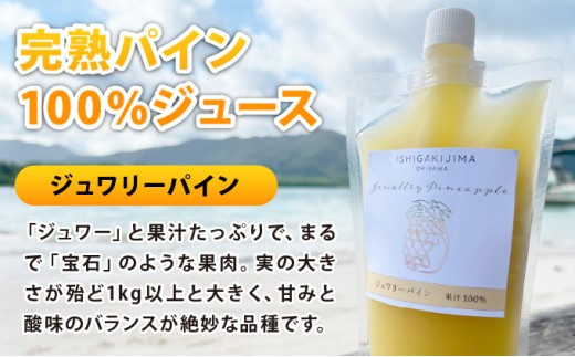 《8月以降順次発送》最高糖度20度！？冬眠ミニマンゴーと完熟ジュワリーパインジュース