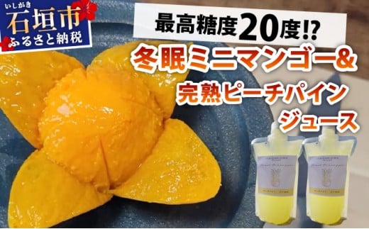 《8月以降順次発送》最高糖度20度！？冬眠ミニマンゴーと完熟ピーチパインジュース