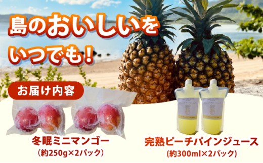 《8月以降順次発送》最高糖度20度！？冬眠ミニマンゴーと完熟ピーチパインジュース