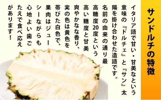 ãå
è¡äºçŽ2026幎6æäžæ¬é ããé æ¬¡çºéãæé«ç³åºŠ20床ïŒïŒã¯ãªãŒããŒãªå³ãããé
åã®ç³å£å³¶ç£å®çãµã³ãã«ãã§ 3åã»ãã