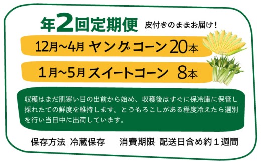 ãå
è¡äºçŽ2027幎1æ-5æé
éã1çªé
ããŠ1çªæ©ãâ ãã¬ãã¢ã ã€ã³ã°ã³ãŒã³ãšã¹ã€ãŒãã³ãŒã³ã®ããã°ãå®æäŸ¿ïŒïŒææ¡ããç®ä»ãã®ãŸãŸãå±ãïŒïŒ