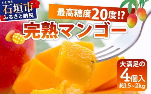 《2026年6月下旬～7月発送》最高糖度20度！？ 石垣島産完熟マンゴー！大満足の４個入り