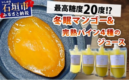 《8月以降順次発送》最高糖度20度！？冬眠マンゴーと完熟パイン4種のジュース