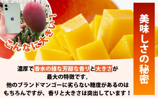 《8月以降順次発送》最高糖度20度！？冬眠マンゴーと完熟パイン4種のジュース