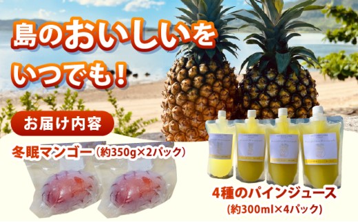 《8月以降順次発送》最高糖度20度！？冬眠マンゴーと完熟パイン4種のジュース
