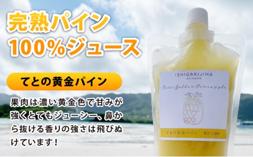 ã8æä»¥éé æ¬¡çºéãæé«ç³åºŠ20床ïŒïŒå¬ç ãã³ãŽãŒãšå®çãŠãšã®é»éãã€ã³ãžã¥ãŒã¹