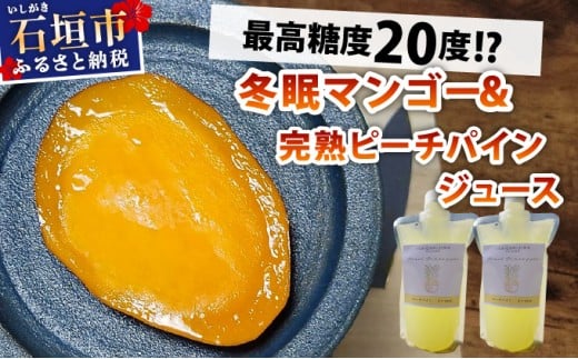《8月以降順次発送》最高糖度20度！？冬眠マンゴーと完熟ピーチパインジュース