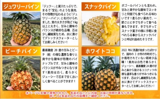 《2026年4月以降発送》パイナップル好きにおすすめ！大満足のパイナップル4品種＆青切りマイヤーレモン定期便　年5回に分けてお送りします
