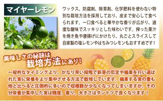 《年7回発送》島のおいしいを贅沢に！大満足のパイナップル4種とマンゴー2種、マイヤーレモンの定期便