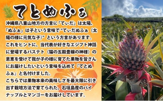 《年7回発送》島のおいしいを贅沢に！大満足のパイナップル4種とマンゴー2種、マイヤーレモンの定期便
