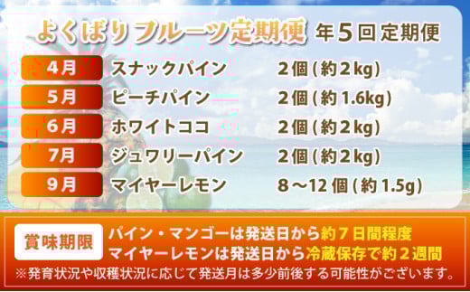 《年5回発送》パイナップル好きにおすすめ！大満足のパイナップル4品種＆マイヤーレモン定期便