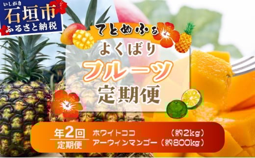 《2026年6月以降発送》マツコの知らない世界で紹介！幻のホワイトココ＆最高糖度20度⁉完熟マンゴーの定期便年２回に分けてお送りします