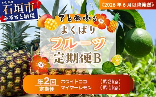 《2026年6月以降発送》マツコの知らない世界で紹介！幻のホワイトココ＆青切りマイヤーレモンの定期便 年２回に分けてお送りします
