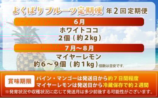 《2026年6月以降発送》マツコの知らない世界で紹介！幻のホワイトココ＆青切りマイヤーレモンの定期便 年２回に分けてお送りします
