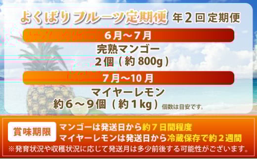 《6月以降発送》最高糖度20度！？完熟マンゴーと青切りマイヤーレモンの定期便！！年2回に分けてお送りします