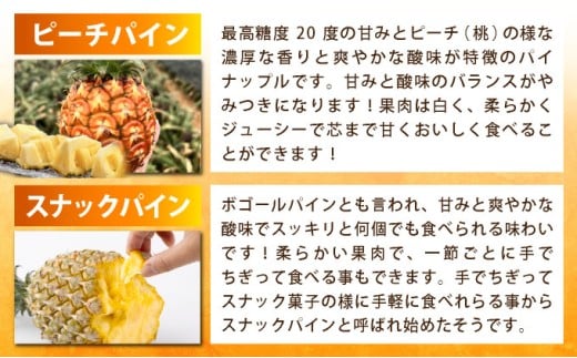 《2026年4月中旬以降発送》島のおいしいを贅沢に！大満足のパイナップル3種とマンゴー、マイヤーレモンの定期便　年5回に分けてお送りします