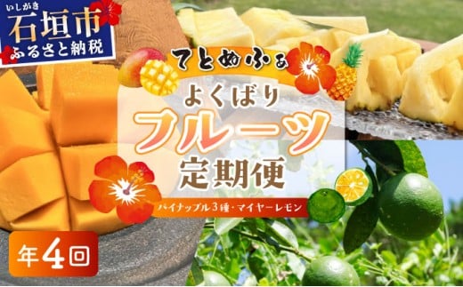 《年4回発送》パイナップル好きにおすすめ！大満足のパイナップル３品種＆マイヤーレモン定期便