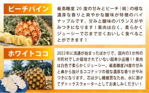 《年4回発送》パイナップル好きにおすすめ！大満足のパイナップル３品種＆マイヤーレモン定期便