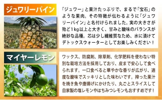 《年4回発送》パイナップル好きにおすすめ！大満足のパイナップル３品種＆マイヤーレモン定期便