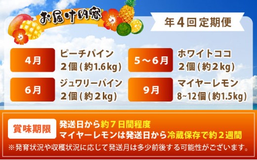 《年4回発送》パイナップル好きにおすすめ！大満足のパイナップル３品種＆マイヤーレモン定期便