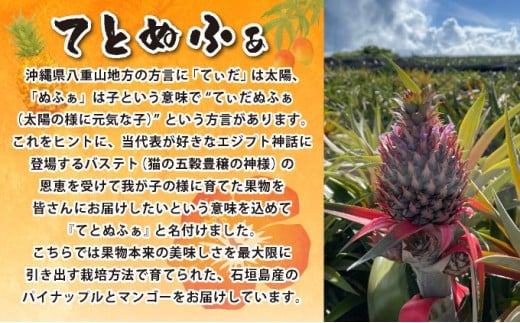 《年4回発送》パイナップル好きにおすすめ！大満足のパイナップル３品種＆マイヤーレモン定期便