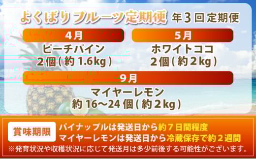 《年3回発送》パイナップル好きにおすすめ！某TV番組で紹介された希少なホワイトココとピーチパイン、マイヤーレモンの定期便