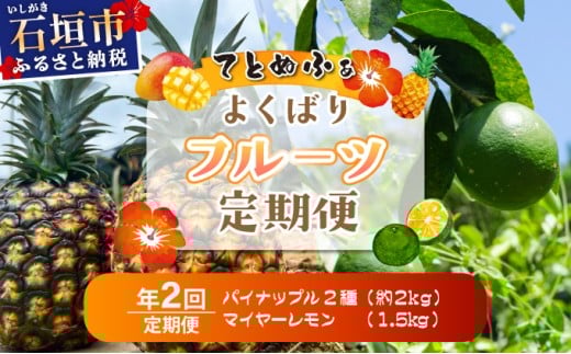 《年２回発送》島のおいしいを贅沢に！パイナップル2種食べ比べと青切りマイヤーレモンのよくばり定期便！