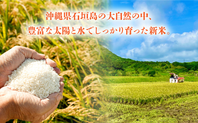 【石垣島産】日本最南端の日本一早い新米（清衛門）5kg×1袋 TN-02