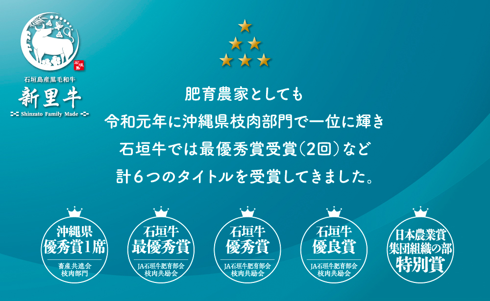 石垣島産 黒毛和牛 新里牛 職人手ごね生ハンバーグ（150g×4）600g ＆ 職人手ごね生ハンバーグの種（500g×1）500g 合計1.1kg SZ-50