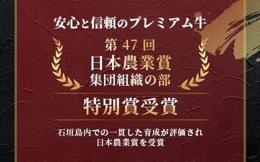 石垣牛 ハンバーグ セット (100g×10個)＜2026年4月発送＞ | 国産 石垣牛100% 沖縄 石垣島産 高級 黒毛和牛 ビーフ ハンバーグセット
