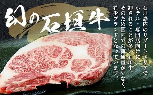 石垣牛 ハンバーグ セット (100g×10個)＜2026年4月発送＞ | 国産 石垣牛100% 沖縄 石垣島産 高級 黒毛和牛 ビーフ ハンバーグセット