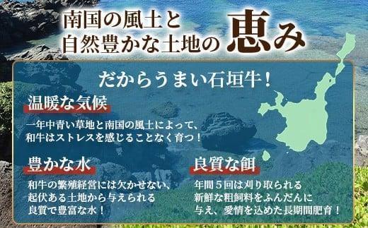 石垣牛 ハンバーグ セット (100g×10個)＜2026年4月発送＞ | 国産 石垣牛100% 沖縄 石垣島産 高級 黒毛和牛 ビーフ ハンバーグセット