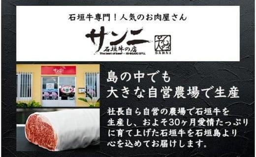 石垣牛 ハンバーグ セット (100g×10個)＜2026年5月発送＞ | 国産 石垣牛100% 沖縄 石垣島産 高級 黒毛和牛 ビーフ ハンバーグセット