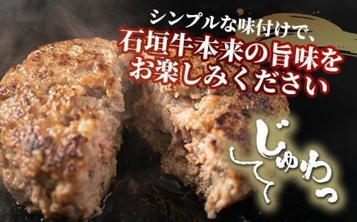石垣牛 ハンバーグ セット (100g×10個)＜2026年7月発送＞ | 国産 石垣牛100% 沖縄 石垣島産 高級 黒毛和牛 ビーフ ハンバーグセット