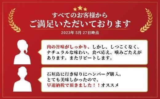 石垣牛 ハンバーグ セット (100g×10個)＜2026年7月発送＞ | 国産 石垣牛100% 沖縄 石垣島産 高級 黒毛和牛 ビーフ ハンバーグセット