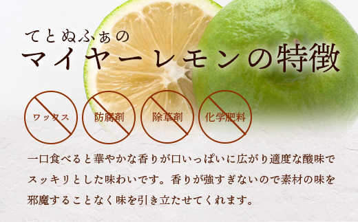 【先行受付】<2025年10月～12月順次発送> 皮まで食べられる!? 黒糖レモン生シロップのみと果肉入りの120ml×各1本の2本セット | 沖縄 石垣 黒糖 波照間 青切り レモン マイヤー メイヤー 果肉 生 シロップ | TF-49