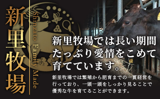 石垣島産 黒毛和牛 新里牛 赤身系焼き肉用 (300g×2) 合計600g（ウデ・ウチモモ・トウガラシから2つ）SZ-21