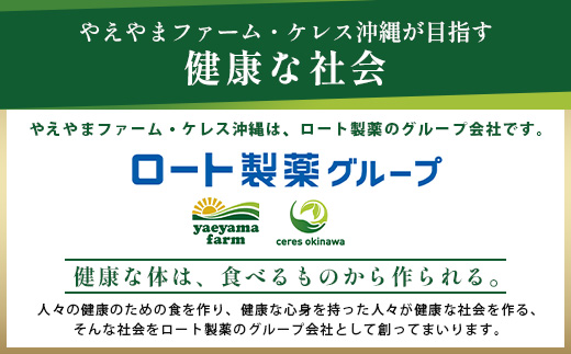 【予約受付】石垣島産　有機パイナップル・ボゴール種 3玉（約2.8kg前後）〈常温〉《６月上旬～順次発送予定》｜パイナップル パインアップル 石垣島パイン フルーツ 果物 くだもの 南国フルーツ 国産パイン　E-41