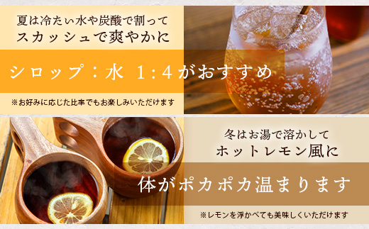 【先行受付】<2025年10月～12月順次発送> 皮まで食べられる!? 果肉入り黒糖レモン生シロップ200ml×2本 | 沖縄 石垣 黒糖 波照間 青切り レモン マイヤー メイヤー 果肉 生 シロップ | TF-51