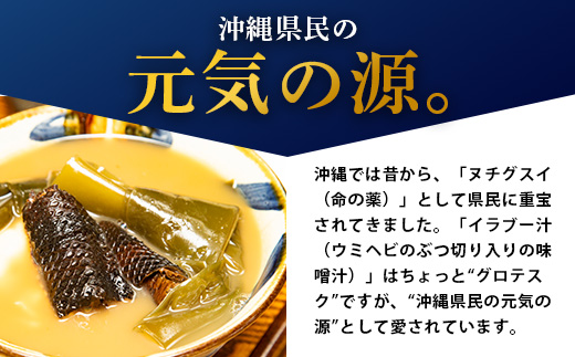 石垣島産「イラブー(海ヘビ)」粉末 120粒入り×2袋　健康補助食品・約2ヶ月分【 海へび 海蛇 栄養補助食品 サプリメント サプリ 錠 粒 アミノ酸 ミネラル ビタミン 】SI-73