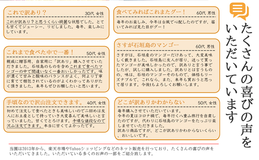 【先行受付】《2025年7月～8月中旬順次発送》訳あり 沖縄マンゴー（石垣島産）4kg ときわマンゴー農園 TK-4-1