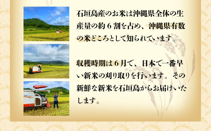 【石垣島産】日本最南端の日本一早い新米（清衛門）5kg×1袋 TN-02