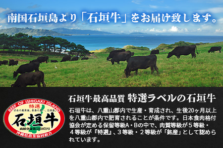 石垣牛・すき焼き用もも 500g 冷凍便【 沖縄県 石垣市 牛肉 お肉 すきやき スキヤキ 鍋 】 SI-84