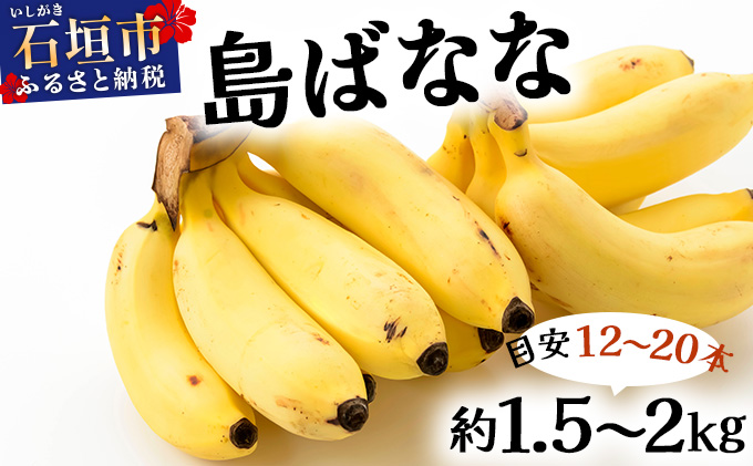 バナナ好きに届けたい！！完全無農薬栽培 もっちり食感がやみつきの希少な国産『プレミアム島ばなな』贅沢に1房丸ごと約1.5-2kgお届け！！