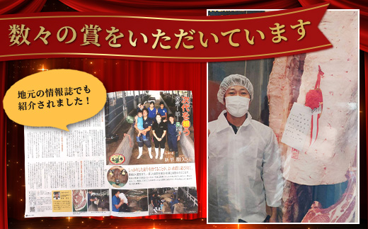 石垣島産 黒毛和牛 新里牛 赤身系焼き肉用 (300g×2) 合計600g（ウデ・ウチモモ・トウガラシから2つ）SZ-21