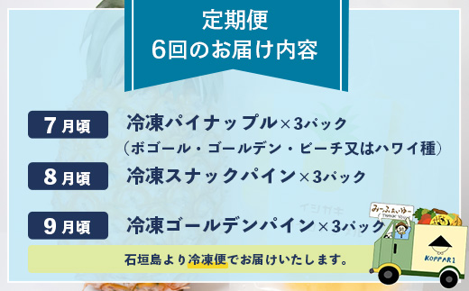 石垣島冷凍パイナップル3回定期便  EF-11-1